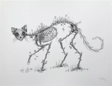 Cat Skeleton Graphite Drawing Print Original Artwork Spooky Etsy Uk