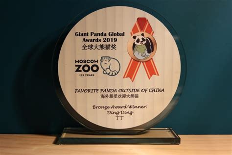 Giant Panda Global Awards 2019 The Winners