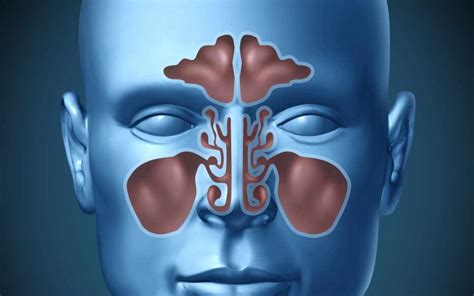 the ent may not be able to cure your sinus infection ent buffalo ny