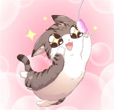 Pin By Ella Harrison On Nekos~ °♡ Cute Anime Cat Kawaii Cat Anime