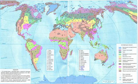 География 6 класс контурные карты биосфера дрофа ТОПоГИС