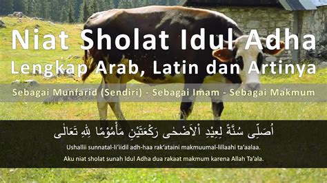 Niat Sholat Idul Adha Lengkap Arab Latin Dan Artinya Rujukan Muslim