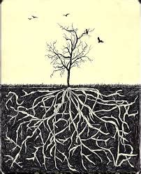 Roots Before Branches Poetry