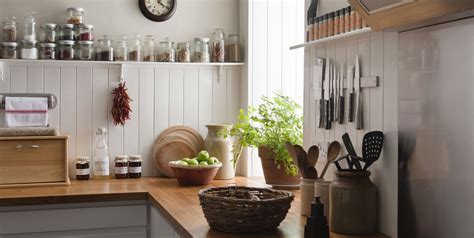 15 Best Kitchen Plants Houseplants To Grow In Your Kitchen