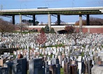 Calvary Cemetery: A Quiet Sanctuary in Queens, New York