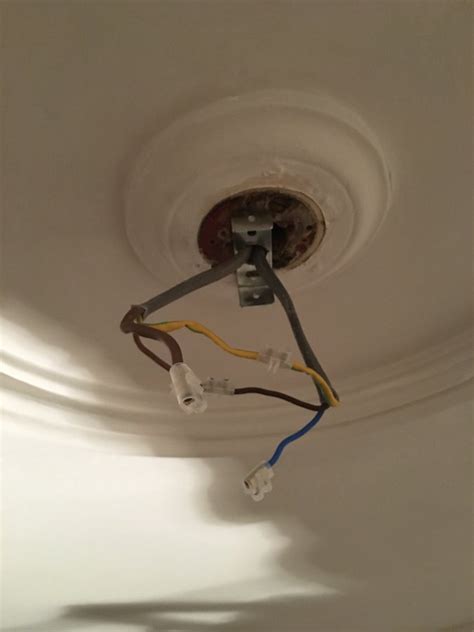 Metal Ceiling Light Rose With No Earth Diynot Forums