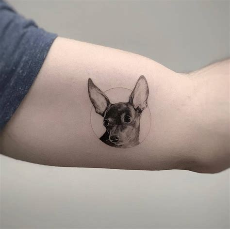 Single Needle Chihuahua Tattoo On The Inner Arm