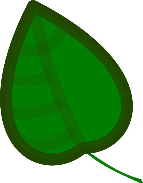 Cartoon Rainforest Leaf Clipart Best