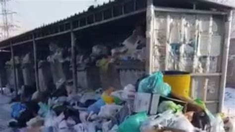 Свалка мусора в 7 мкр Видео