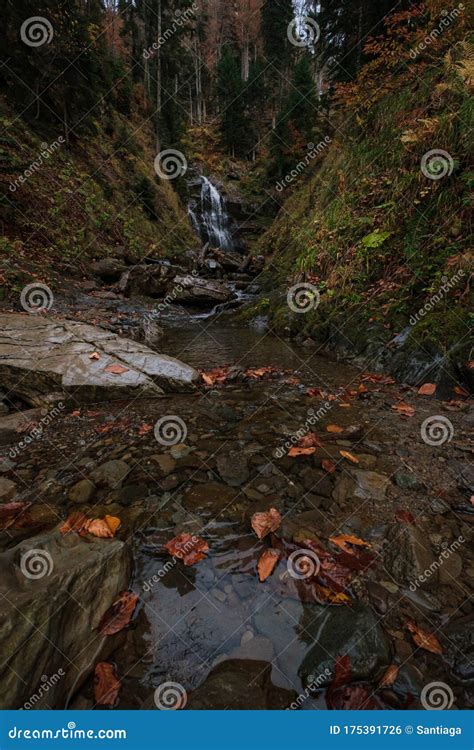River Deep In Mountain Forest Nature Composition Stock Photo Image