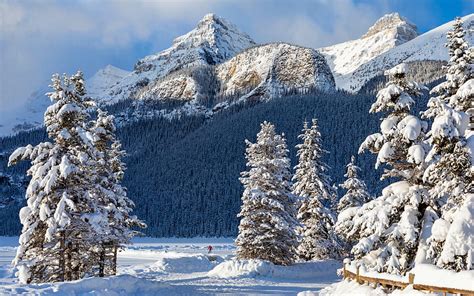 Banff Snowy Mountains Alberta Winter Snowdrifts North America