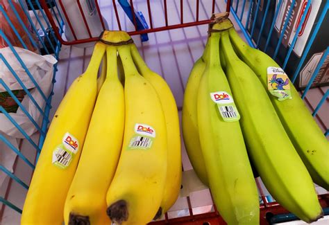 Cute Small Fat Blemishless Bananas 🍌 Rheb