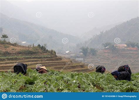 Sapa, Vietnam - January 16th 2014: Members Of A Hmong Hill Tribe ...