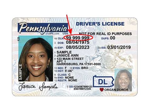Free Pa State Id Cards Pennsylvania U21 Pa Drivers License Psd
