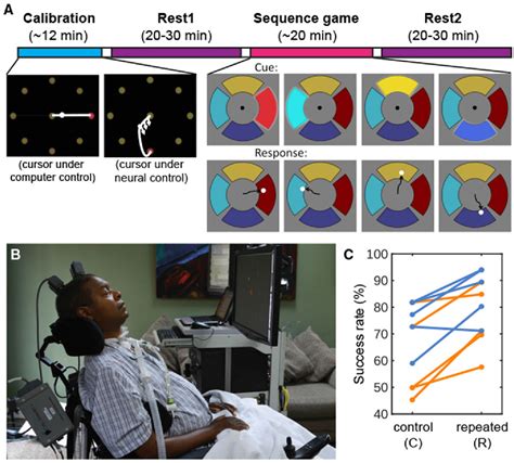 Figure 1 From Replay Of Learned Neural Firing Sequences During Rest In