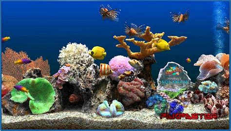 Screensaver Marine Aquarium Deluxe Cletkinscyc