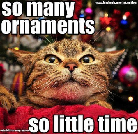 Pin By Birgit Crews On Cats Christmas Animals Funny Cat Memes Cats