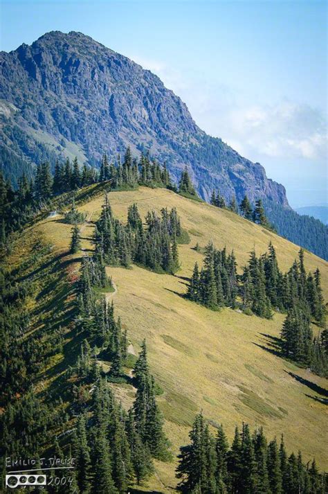 Olympic Peninsula Port Angeles And Hurricane Ridge Hurricane Ridge