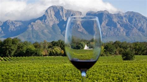 A Day Tour In The Cape Winelands Offers You A Taste Of The Finer Things