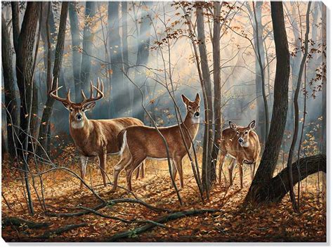 Woodland Splendor Whitetail Deer Wrapped Canvas Giclee Print Wall Art