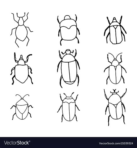 Cute Hand Drawn Bugs Outlines Royalty Free Vector Image