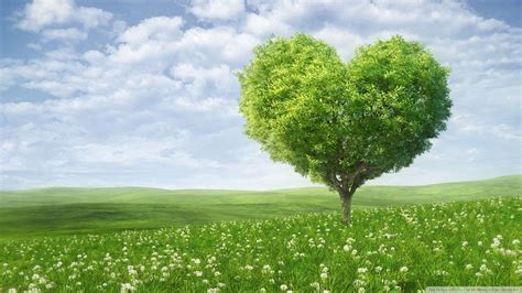 Nature Love Wallpapers Top Free Nature Love Backgrounds Wallpaperaccess