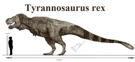 Tyrannosaurus Rex By Teratophoneus On Deviantart