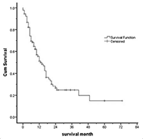 kaplan meier curve of overall survival in acute myelogenous leukemia download scientific
