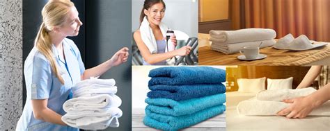 He loves it when his owner picks up the vacuum cleaner and gives him a massage with it. Towel Cleaning Service | Towel Laundry and Delivery
