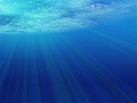 Rays Underwater Wallpaper World Of Celebrity