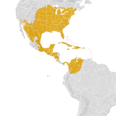 Yellow Billed Cuckoo Range Map Pre Breeding Migration Ebird Status