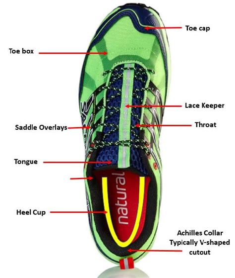 Anatomy Of A Shoe Spotter Up