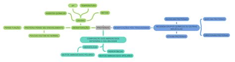 ProteÍnas Coggle Diagram