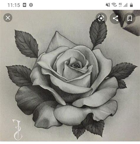 Pin By Jose Martin On Dibujos Ttoo Rose Flower Tattoos Roses Drawing