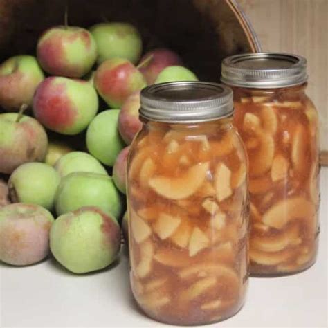 This makes a fantastic hostess gift for thanksgiving tucked into a basket with a pretty pie pan and a dish towel. Canned Apple Pie Filling | Recipe | Canned apple pie ...