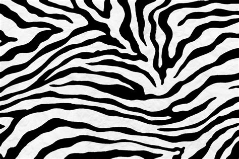 Zebra Wallpapers 4k Hd Zebra Backgrounds On Wallpaperbat