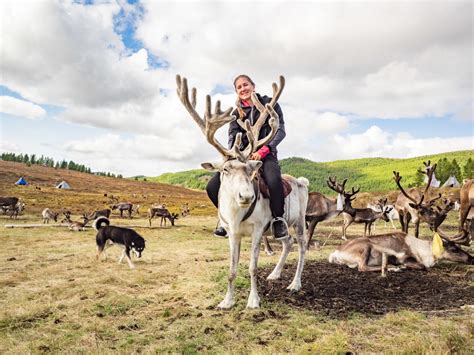 the complete guide to visiting mongolia s mystical tsaatan reindeer herders crawford creations