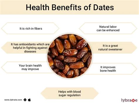 Dates Health Benefits Uses And Side Effects