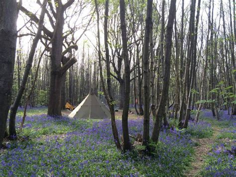 Best Camping Near London Countryside Campsites Near London For