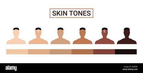 Skin Tone Color Scale Chart Brown Palette Vector Human Skin