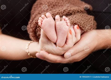 Baby Feet in Parents Hands. Tiny Newborn Baby`s Feet on Parents Shaped