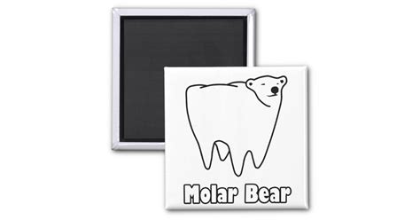 Molar Bear Polar Tooth Bear Magnet