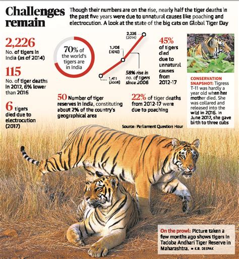 Tigers In India Tiger Conservation Data Visualization Visualisation