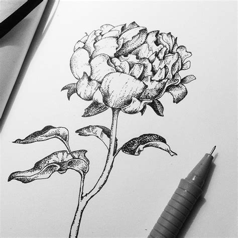 Nordic Working Dotwork Flowers And Leaves