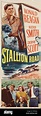 Stallion Road - Movie Poster Stock Photo - Alamy