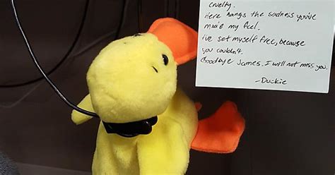 So A Stuffed Duck Hung Itself Today I Guess Ducks Can Only Handle