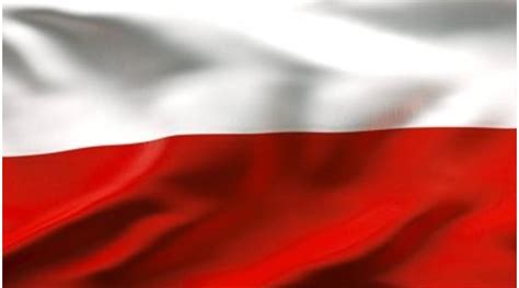 Csehország asztali zászló megjelenésre vágysz irodádban, és egy olcsó megoldást keresel, válaszd nemzeti asztali zászlóinkat. Lengyel zászló - Zászlók