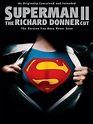 Superman II: The Richard Donner Cut, un film de 2006 - Télérama Vodkaster