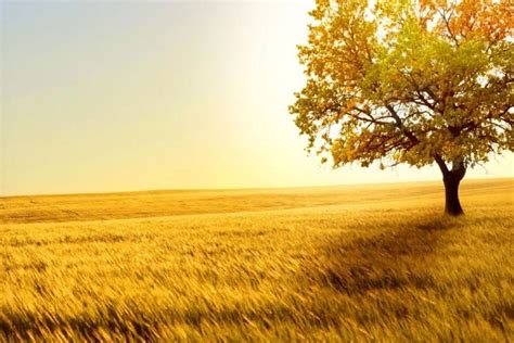 Sunshine (usually uncountable, plural sunshines). Sunshine background ·① Download free awesome full HD ...