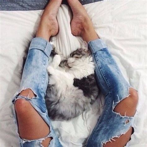 Cat Jeans And Style Image Cats Cute Cats Adorable